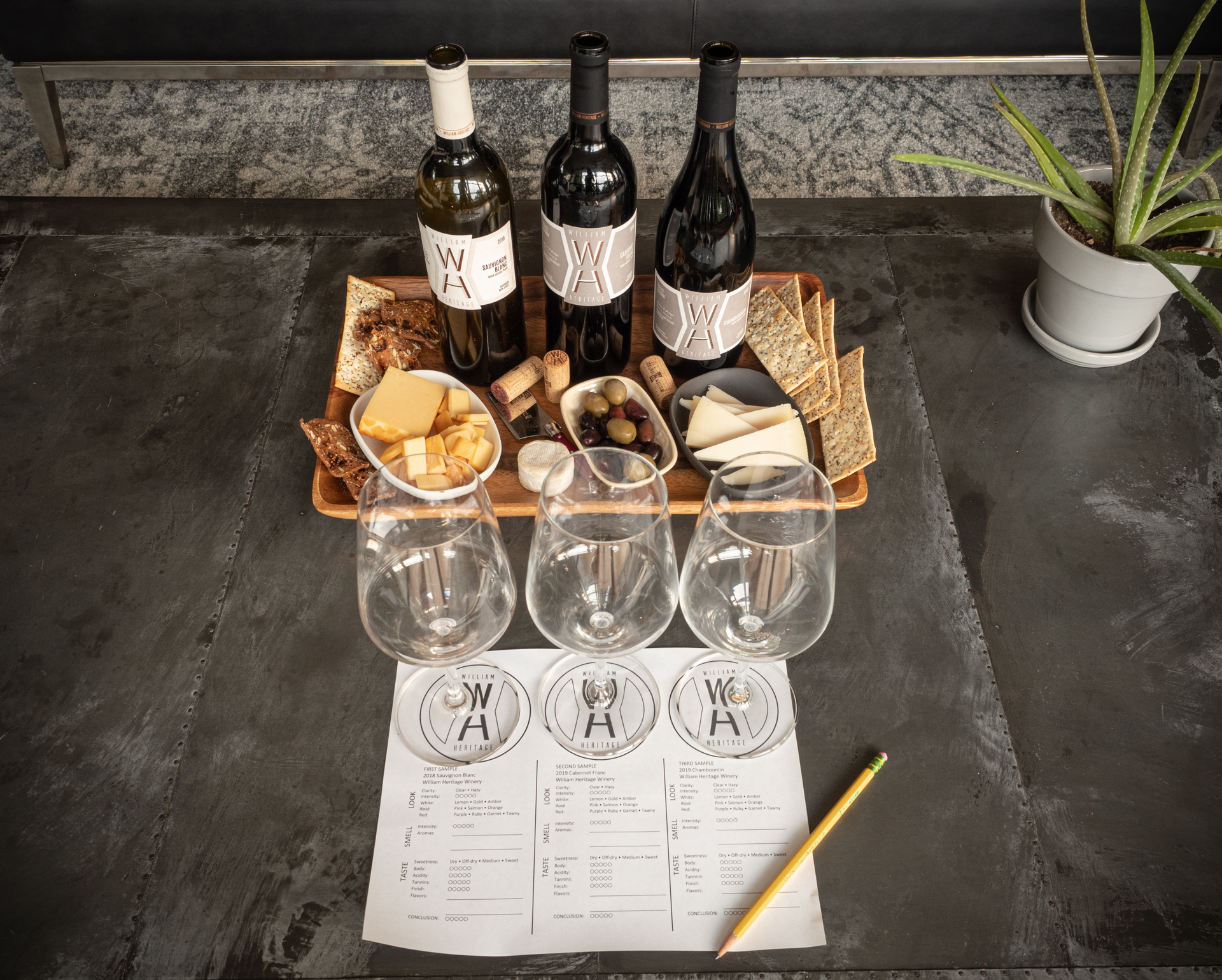 Cool At Home Wine Tasting Images